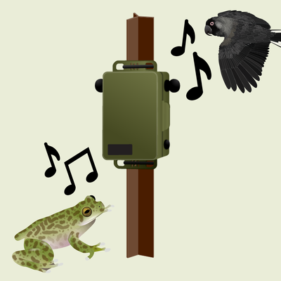 Autonomous Recording Units (ARUs)