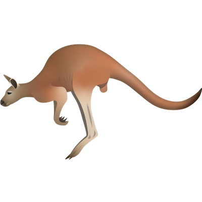 Red Kangaroo