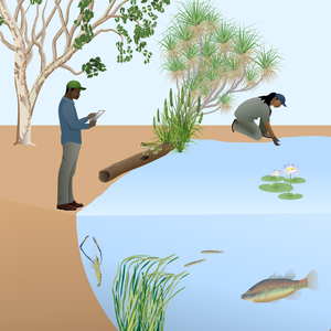 Freshwater Places Monitoring